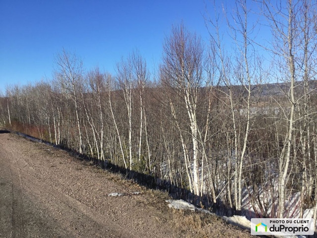 133 000$ - Terrain résidentiel à vendre à Nouvelle dans Terrains à vendre  à Gaspésie - Image 2