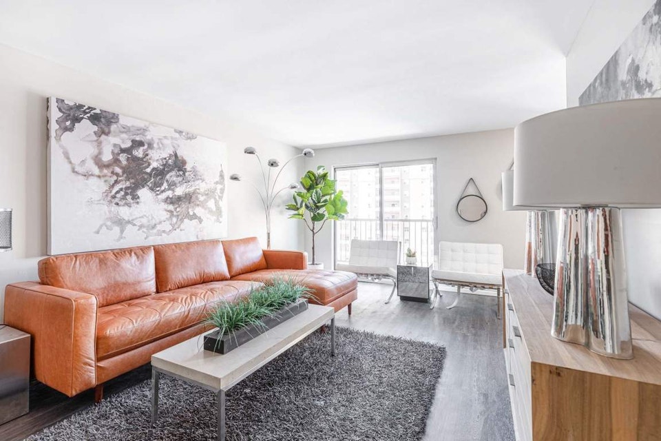 Cozy 1 Bedroom Apartment Steps from Top Amenities & Transit 3