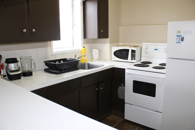 Lower Mount Royal Apartment For Rent | Parada Estates in Long Term Rentals in Calgary - Image 3