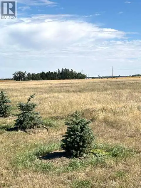 Near Coalhurst RR223 Coalhurst, Alberta in Land for Sale in Lethbridge - Image 4