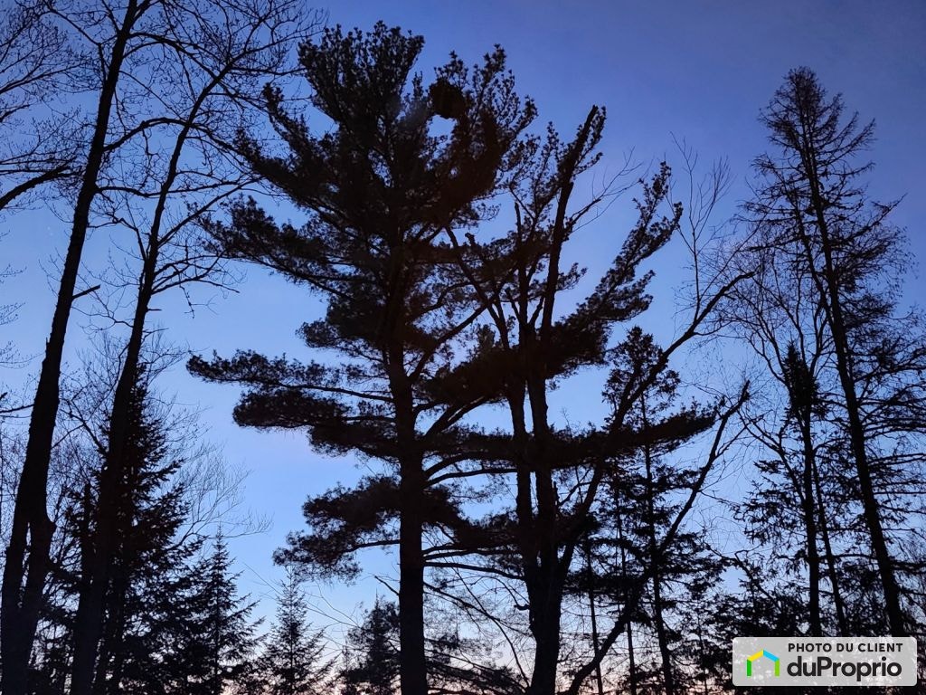 $619,000 - Raised Bungalow for sale in Ste-Adele — photo 2