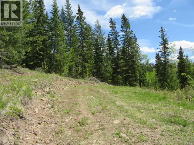 LOT 4 N BONAPARTE ROAD Bridge Lake, British Columbia in Houses for Sale in 100 Mile House - Image 25