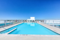 new/nouveau apartment for rent, logement locatif-à louer, 5.5, 5 1/2, 3 bedrooms/chambres, Outremont... (image 6)