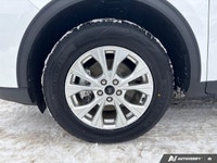 PREVIOUS DAILY RENTAL The 2024 Ford Escape Active is the versatile daily driver designed for the way... (image 8)