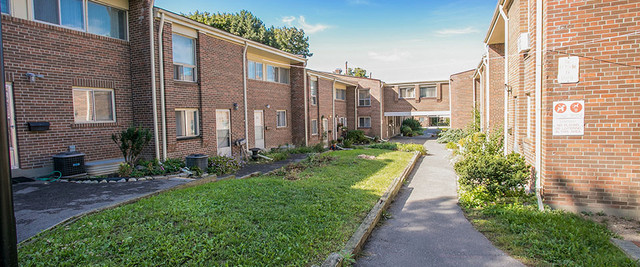 Havenbrook Gardens - 3 Bedroom Townhouse Townhome for Rent dans Locations longue durée  à Ville de Toronto - Image 4