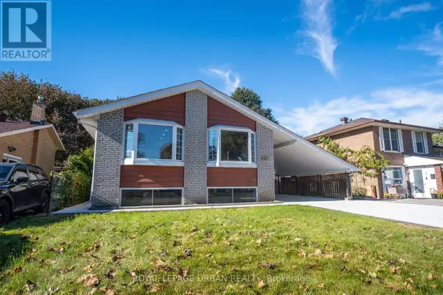 LOWER - 67 CAMPBELL DRIVE Brampton (Northwood Park), Ontario in Long Term Rentals in Mississauga / Peel Region - Image 2