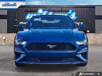 Look at this certified 2022 Ford Mustang EcoBoost Premium Convertible | Manual | 101A Group | Active... (image 7)