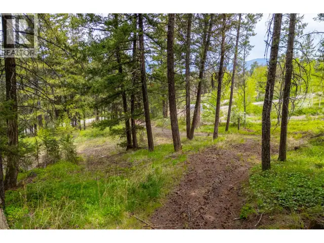 3596 Fox Farm Road Merritt, British Columbia in Land for Sale in Vernon - Image 4