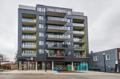 Beautiful 1+Den In Downtown Kitchener