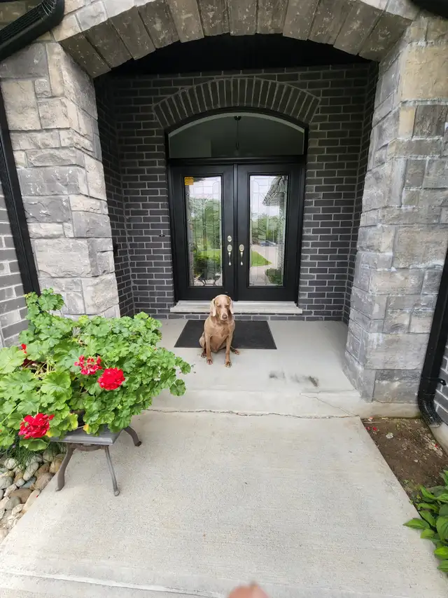 Basement suite for rent with shared access in Room Rentals & Roommates in Sarnia - Image 3