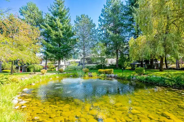174 16080 82 AVENUE Surrey, British Columbia in Condos for Sale in Delta/Surrey/Langley - Image 38