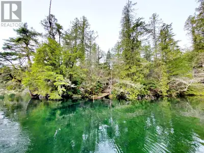 Private, remote waterfront living at its very finest. Off grid, 438 sqft one bedroom legal cabin. Vi...