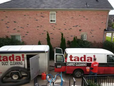 Carpet / Duct cleaning + painting/handyman, View more