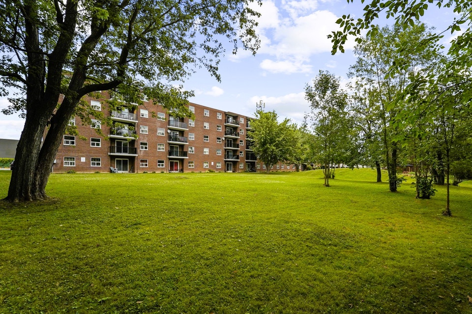Town & Country Apartments - 1 Bedroom, 1 Bath Apartment for Rent 3
