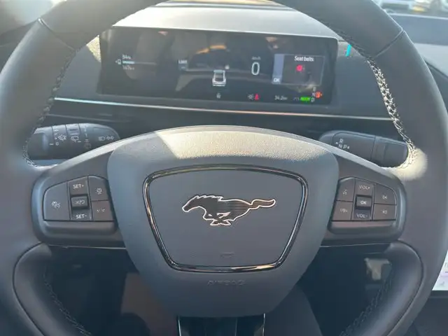 2026 Ford Mustang Mach-E Select5896387134652518419