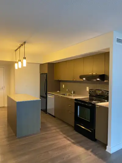 110 Charles St. E. 1505