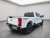 REMOTE START SYSTEM, ELECTRONIC-LOCKING W/4.30 AXLE RATIO, UPFITTER SWITCHES (6), ENGINE BLOCK HEATE... (image 7)