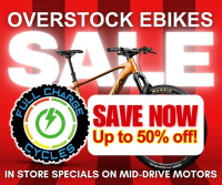 Overstock Massive Sale!!!