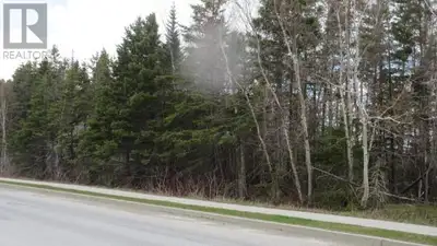 This 23.6 acres of land is just a few minutes walk to the centre of Pasadena and in a private settin...
