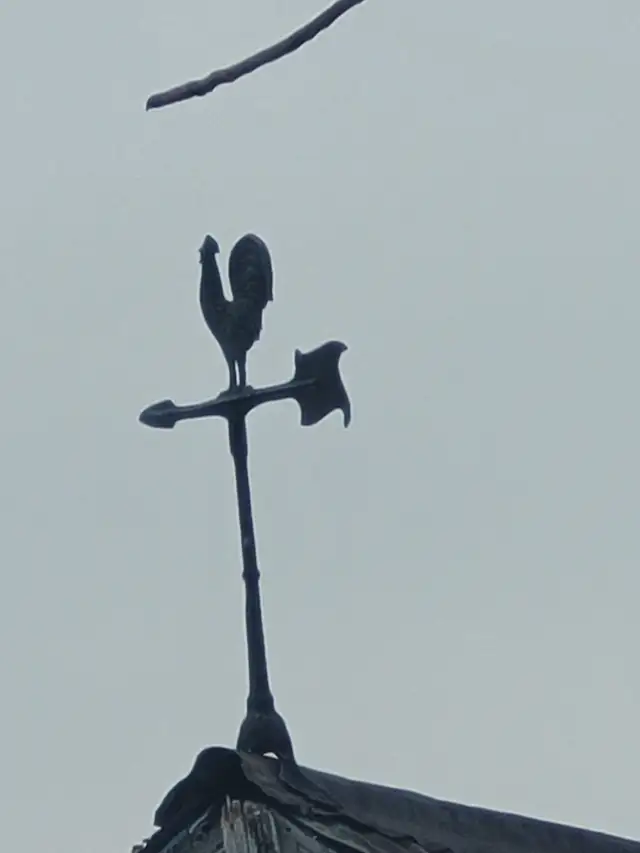 Rooster weather vane..64840211333506121
