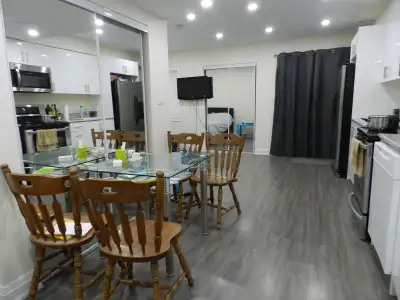 First Floor (walk out) clean & spacious (400 sqft) bright in Thornhill area (Hwy 7 & Dufferin) avail...