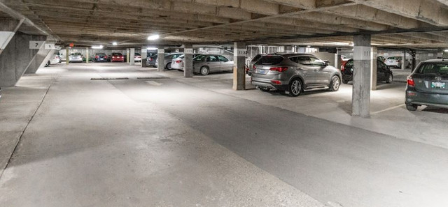 50 Alpine Ave- Southgate Plaza- Bachelor Suite | Long Term Rentals