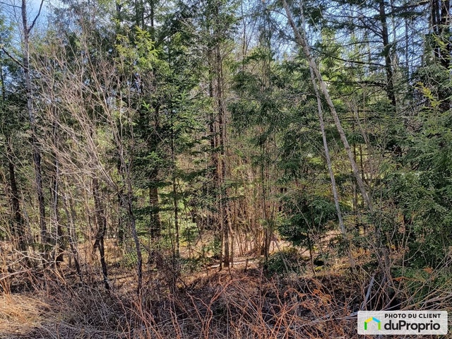 $114,999 - Residential Lot for sale in Potton (Mansonville) — photo 3