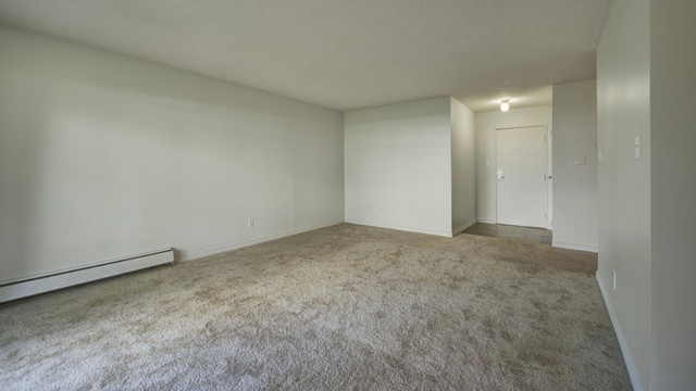 Spacious and bright 2 Bedroom! in Long Term Rentals in Edmonton - Image 2