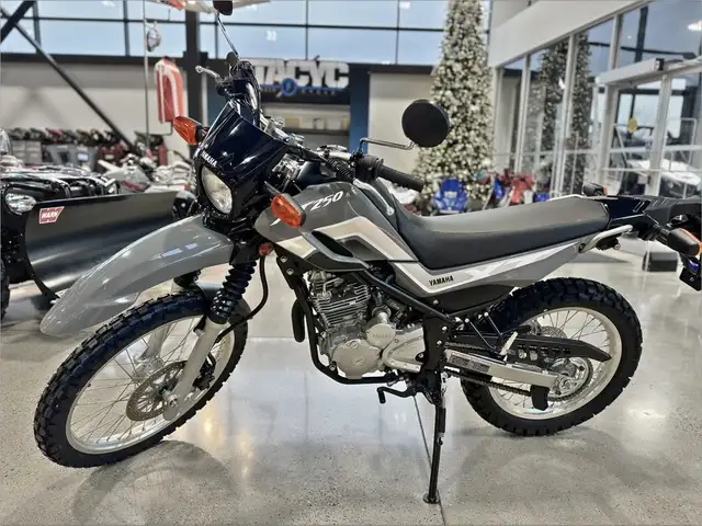 2024 Yamaha XT250 in Street, Cruisers & Choppers in Grand Bend - Image 4