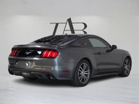 This beautiful 2016 Ford Mustang EcoBoost is a local Ontario vehicle. Blending iconic design with tu... (image 3)