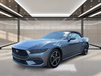 2025 Ford Mustang EcoBoost Sporty, stylish, and built to deliver an exciting driving experience, thi...