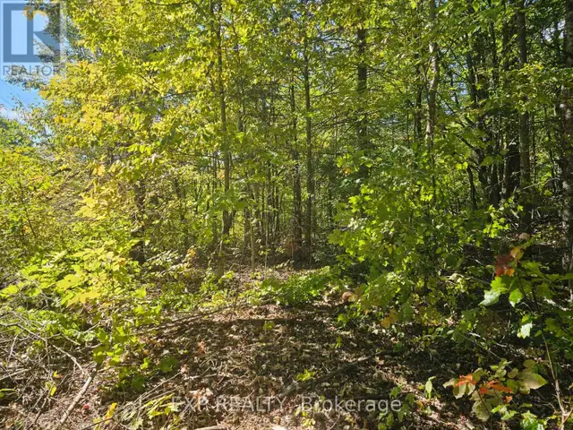 PART LOT 32 AND 33 PART 2 CONC 1 CONCESSION Minden Hills (Snowdo in Land for Sale in Kawartha Lakes - Image 2