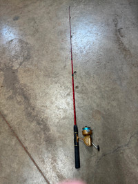 Fishing Rod's & Reels