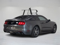 This beautiful 2016 Ford Mustang EcoBoost is a local Ontario vehicle. Blending iconic design with tu... (image 3)