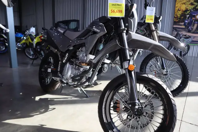 2025 Kawasaki KLX300 SM Grey in Street, Cruisers & Choppers in Edmonton - Image 2