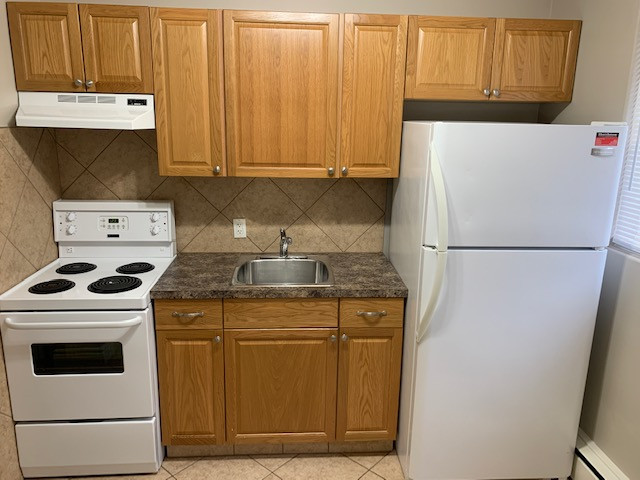 AMAZING CENTRAL LOCATION!!1 BEDROOM APARTMENT in Long Term Rentals in Red Deer - Image 2