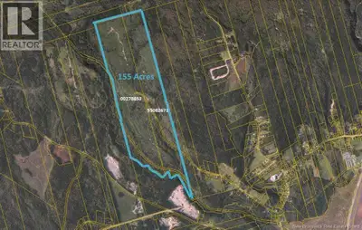 Large block of woodland on Mosher Hill Rd, in about 2 km from Rte 111, PID 55082671 & 00278853. the...