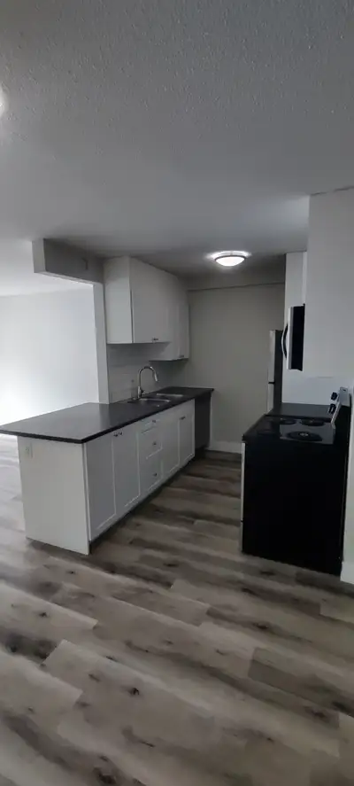 Spacious 3BR Apartment with Modern Finishes & Bright Open Layout Spacious newly renovated 3-bedroom...