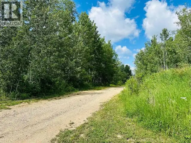 605 Louiselle Trail Lac Des Iles, Saskatchewan in Land for Sale in Meadow Lake - Image 5