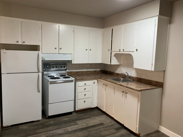 Albert Park Apartment For Rent | Ret 4019 in Long Term Rentals in Regina - Image 2