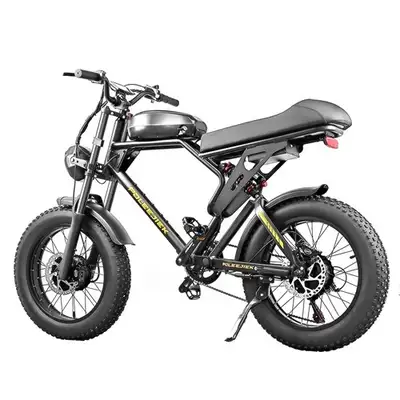 ⚡ BLJ-F4 RetroCruze™ Ebike, View more