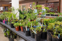 Paris Horticultural Society Plant Sale
