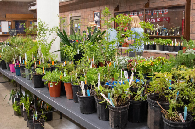 Paris Horticultural Society Plant Sale in Events in Brantford