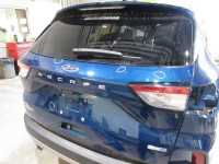 2020 2021 FORD ESCAPE TAILGATE SEL TRUNKLID BLUE  LIFT GATE