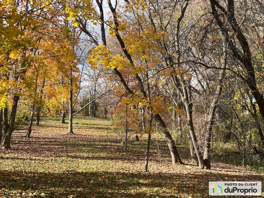 $625,000 - Residential Lot for sale in St-Roch-De-Richelieu — photo 1