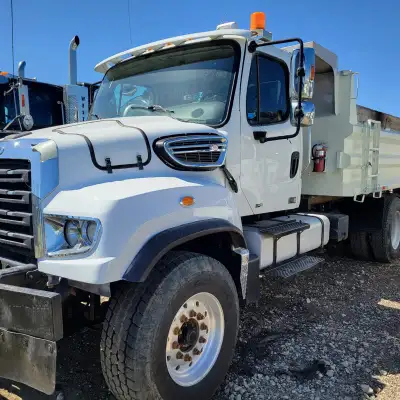 2012 Freightliner 114SD Dump Truck Detroit DD13 Allison Automatic 20/46 axles 460k km Planet Truck S...