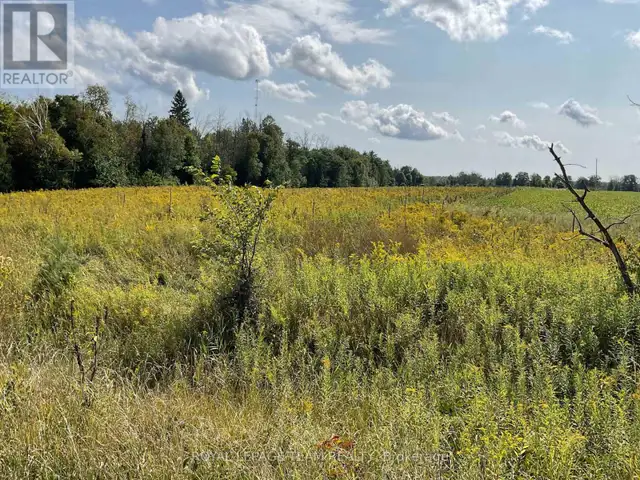 1211 BELLAMY ROAD Mississippi Mills, Ontario in Land for Sale in Ottawa - Image 5