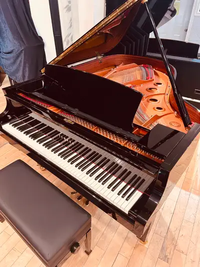 PIANO YAMAHA C3X SILENT (2014), View more