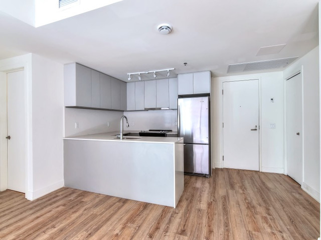 LUXE VIEUX-PORT-2cc-2 sdb condo appartement à louer dans Locations longue durée  à Ville de Montréal