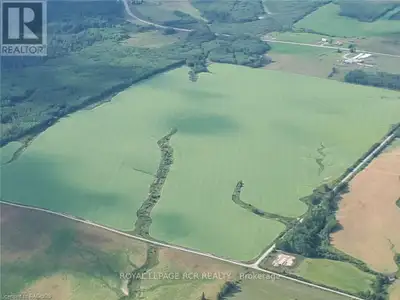 Cash crop land ? 2 adjoining parcels totaling 240 acres of which there is 224 workable acres in one...